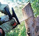 Best Utility Line Clearance  in New Madrid, MO