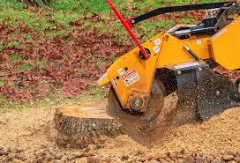 Best Lawn Irrigation Installation and Maintenance  in New Madrid, MO